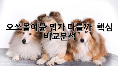 오쏘몰이뮨, 뭐가 다를까? 🤔 핵심 비교분석!