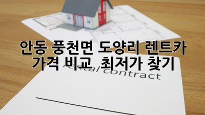 안동 풍천면 도양리 렌트카 가격 비교 : 최저가 찾기!